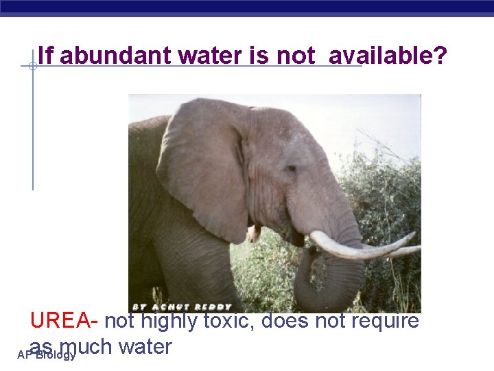 If abundant water is not available? UREA- not highly toxic, does not require much