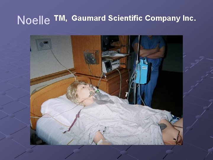 Noelle TM, Gaumard Scientific Company Inc. 