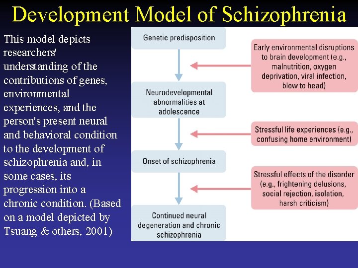 Development Model of Schizophrenia This model depicts researchers' understanding of the contributions of genes,
