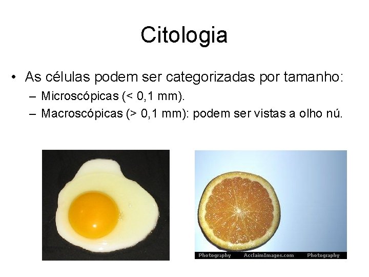 Citologia • As células podem ser categorizadas por tamanho: – Microscópicas (< 0, 1