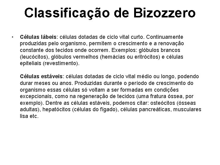 Classificação de Bizozzero • Células lábeis: células dotadas de ciclo vital curto. Continuamente produzidas