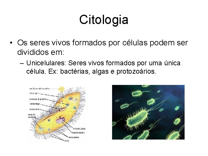Citologia • Os seres vivos formados por células podem ser divididos em: – Unicelulares: