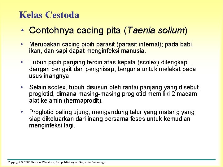 Kelas Cestoda • Contohnya cacing pita (Taenia solium) • Merupakan cacing pipih parasit (parasit