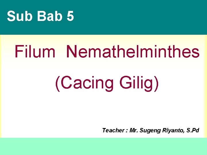 Sub Bab 5 Filum Nemathelminthes (Cacing Gilig) Teacher : Mr. Sugeng Riyanto, S. Pd