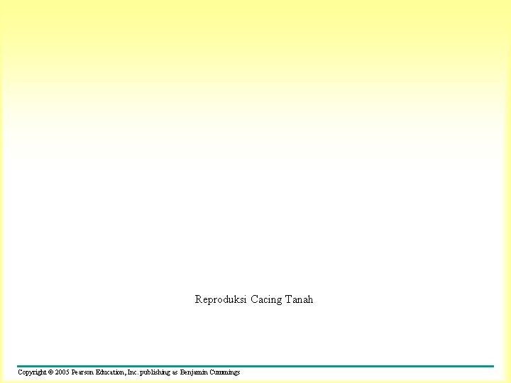 Reproduksi Cacing Tanah Copyright © 2005 Pearson Education, Inc. publishing as Benjamin Cummings 