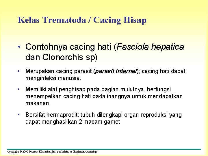 Kelas Trematoda / Cacing Hisap • Contohnya cacing hati (Fasciola hepatica dan Clonorchis sp)
