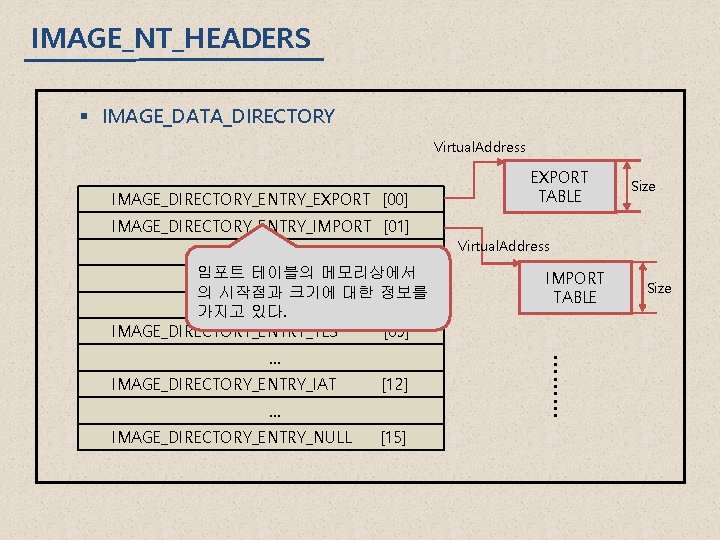 IMAGE_NT_HEADERS § IMAGE_DATA_DIRECTORY Virtual. Address IMAGE_DIRECTORY_ENTRY_EXPORT [00] EXPORT TABLE Size IMAGE_DIRECTORY_ENTRY_IMPORT [01] … 임포트