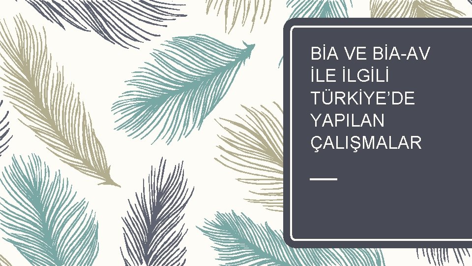 BİA VE BİA-AV İLE İLGİLİ TÜRKİYE’DE YAPILAN ÇALIŞMALAR 