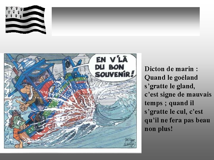 Dicton de marin : Quand le goéland s’gratte le gland, c’est signe de mauvais Dicton de marin : Quand le goéland s’gratte le gland, c’est signe de mauvais