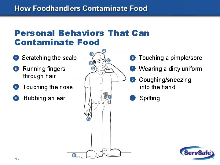 Personal Behaviors That Can Contaminate Food A B Scratching the scalp Running fingers through