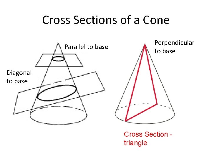 Cross Sections of a Cone Parallel to base Perpendicular to base Diagonal to base