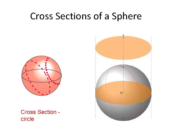Cross Sections of a Sphere Cross Section circle 