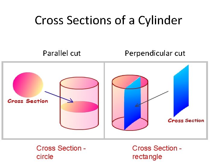 Cross Sections of a Cylinder Parallel cut Perpendicular cut Cross Section circle Cross Section