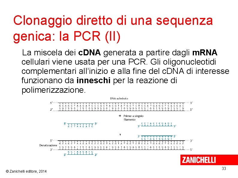  Clonaggio diretto di una sequenza genica: la PCR (II) La miscela dei c.