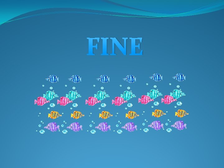FINE FINE