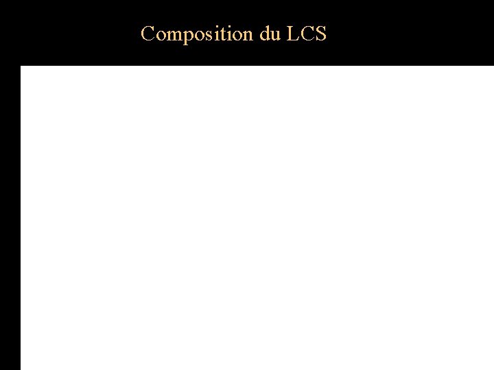 Composition du LCS 