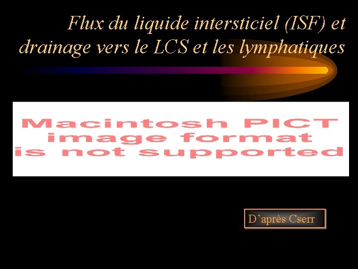 Flux du liquide intersticiel (ISF) et drainage vers le LCS et les lymphatiques D’après