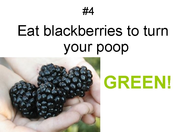 #4 Eat blackberries to turn your poop GREEN! 