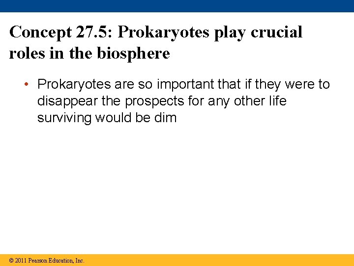 Concept 27. 5: Prokaryotes play crucial roles in the biosphere • Prokaryotes are so