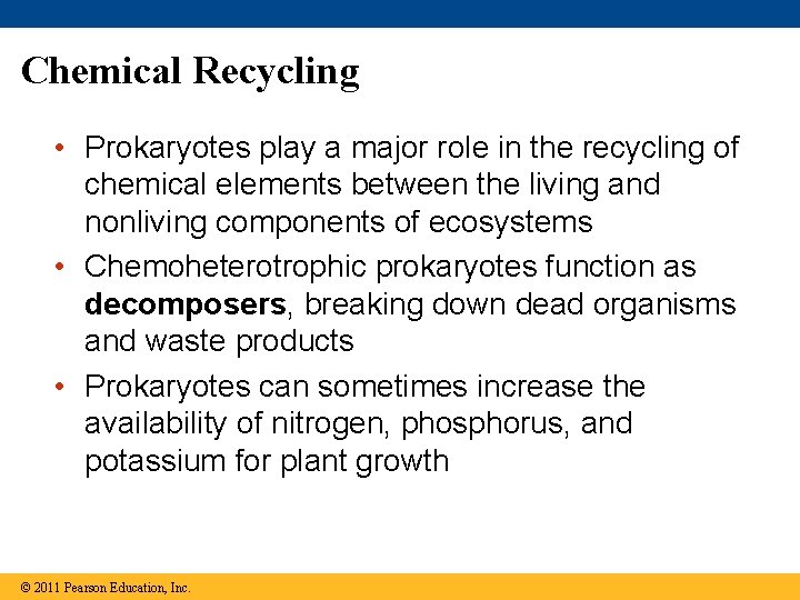Chemical Recycling • Prokaryotes play a major role in the recycling of chemical elements
