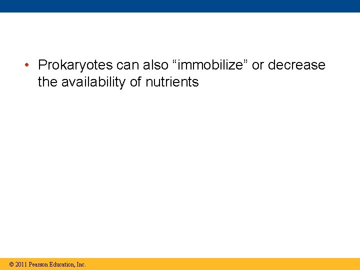  • Prokaryotes can also “immobilize” or decrease the availability of nutrients © 2011