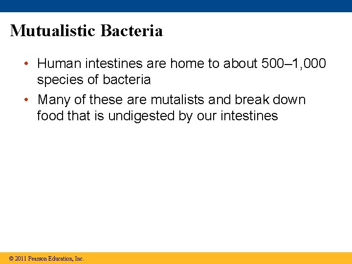 Mutualistic Bacteria • Human intestines are home to about 500– 1, 000 species of