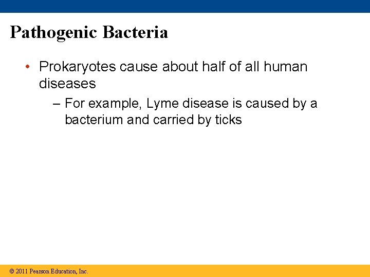 Pathogenic Bacteria • Prokaryotes cause about half of all human diseases – For example,