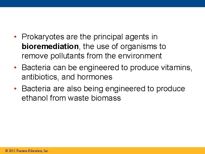  • Prokaryotes are the principal agents in bioremediation, the use of organisms to