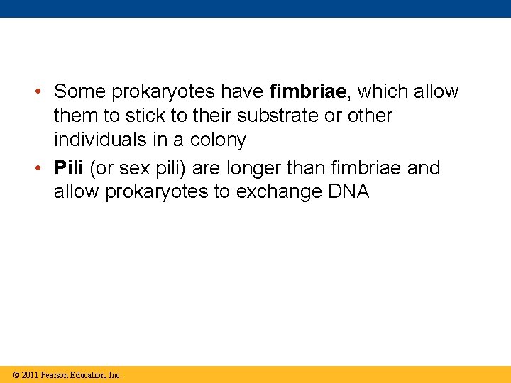  • Some prokaryotes have fimbriae, which allow them to stick to their substrate
