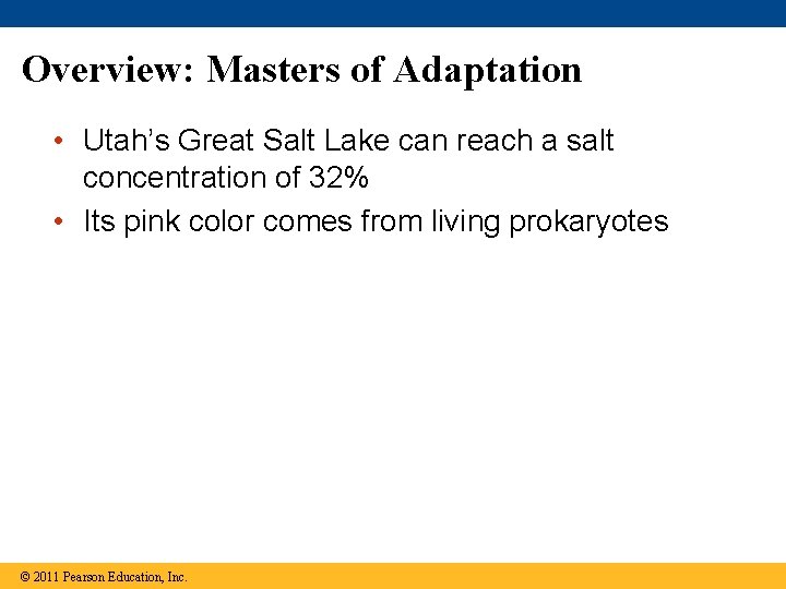 Overview: Masters of Adaptation • Utah’s Great Salt Lake can reach a salt concentration