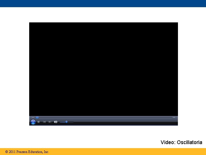 Video: Oscillatoria © 2011 Pearson Education, Inc. 
