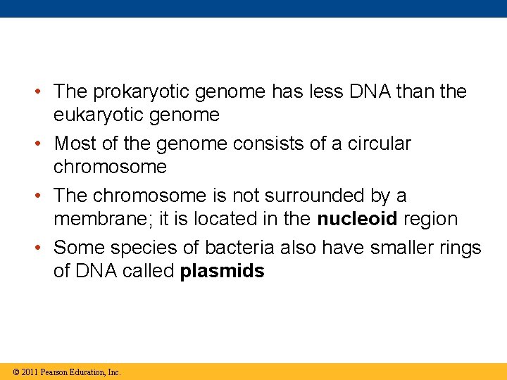  • The prokaryotic genome has less DNA than the eukaryotic genome • Most