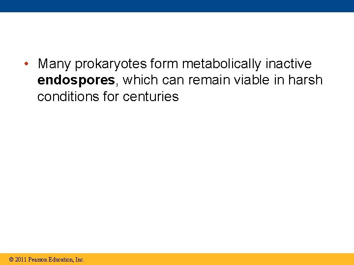  • Many prokaryotes form metabolically inactive endospores, which can remain viable in harsh