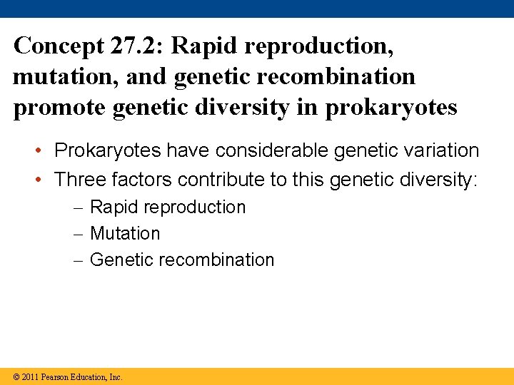 Concept 27. 2: Rapid reproduction, mutation, and genetic recombination promote genetic diversity in prokaryotes