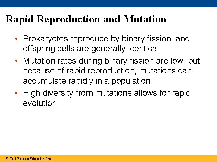 Rapid Reproduction and Mutation • Prokaryotes reproduce by binary fission, and offspring cells are