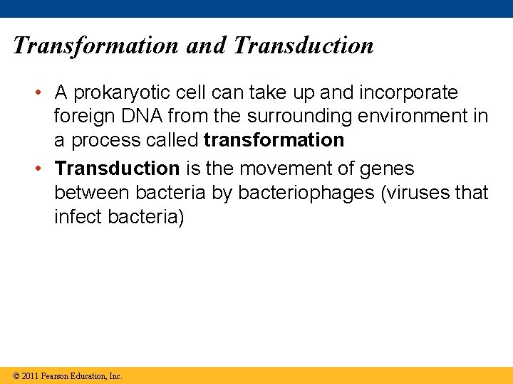Transformation and Transduction • A prokaryotic cell can take up and incorporate foreign DNA