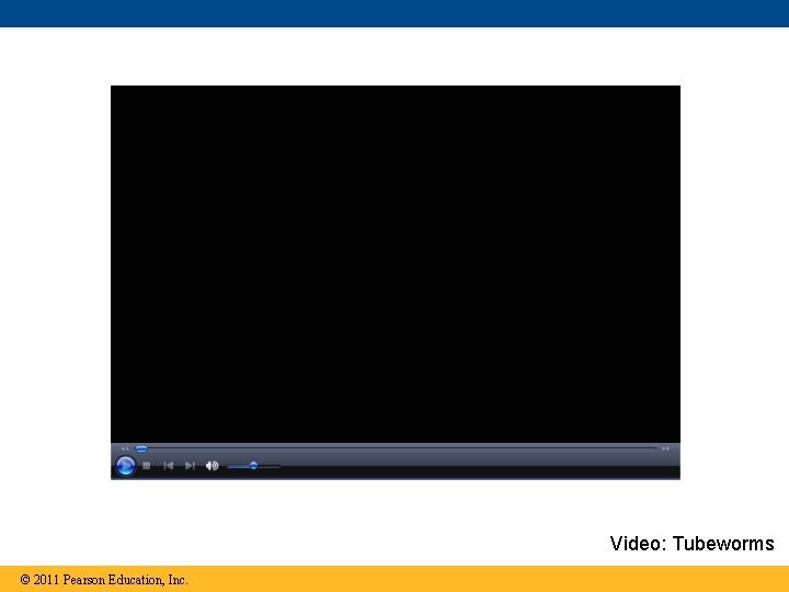 Video: Tubeworms © 2011 Pearson Education, Inc. 