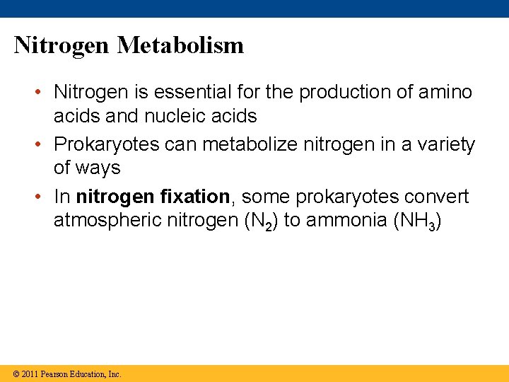 Nitrogen Metabolism • Nitrogen is essential for the production of amino acids and nucleic