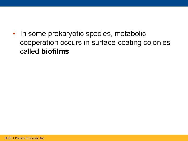  • In some prokaryotic species, metabolic cooperation occurs in surface-coating colonies called biofilms