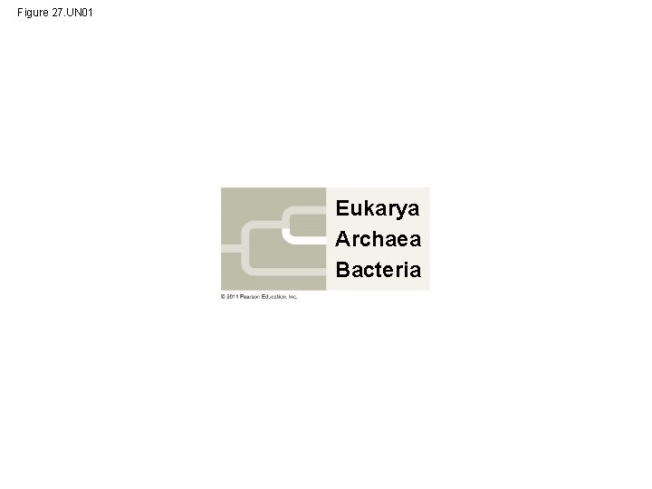 Figure 27. UN 01 Eukarya Archaea Bacteria 