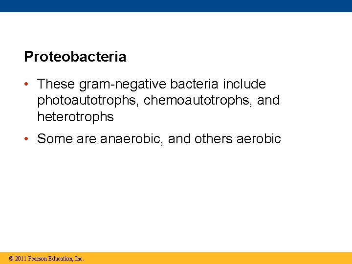 Proteobacteria • These gram-negative bacteria include photoautotrophs, chemoautotrophs, and heterotrophs • Some are anaerobic,