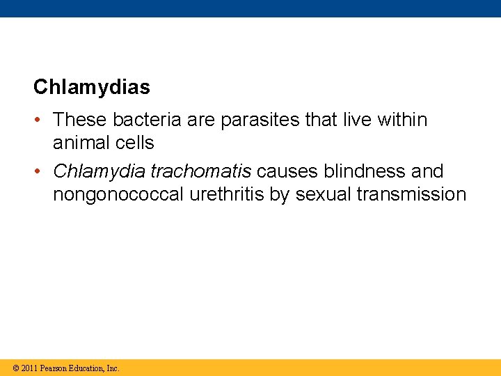 Chlamydias • These bacteria are parasites that live within animal cells • Chlamydia trachomatis