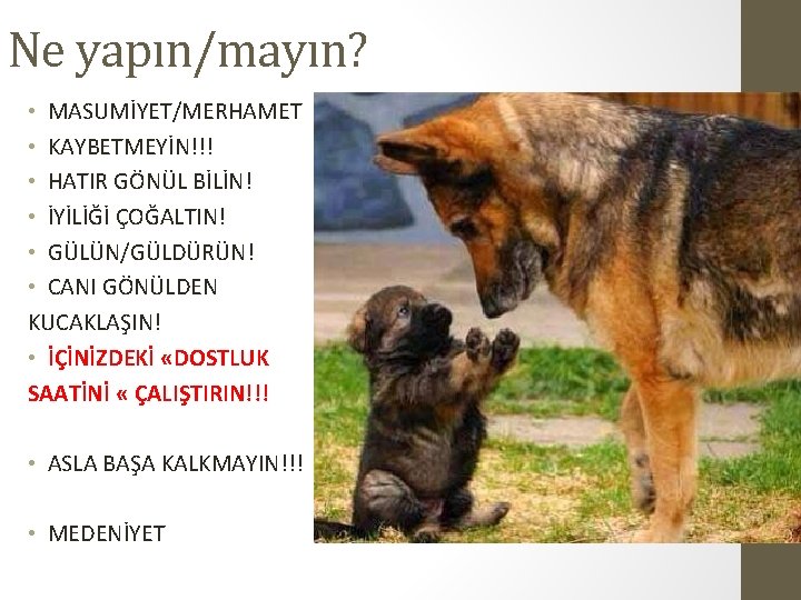 Ne yapın/mayın? • MASUMİYET/MERHAMET • KAYBETMEYİN!!! • HATIR GÖNÜL BİLİN! • İYİLİĞİ ÇOĞALTIN! •