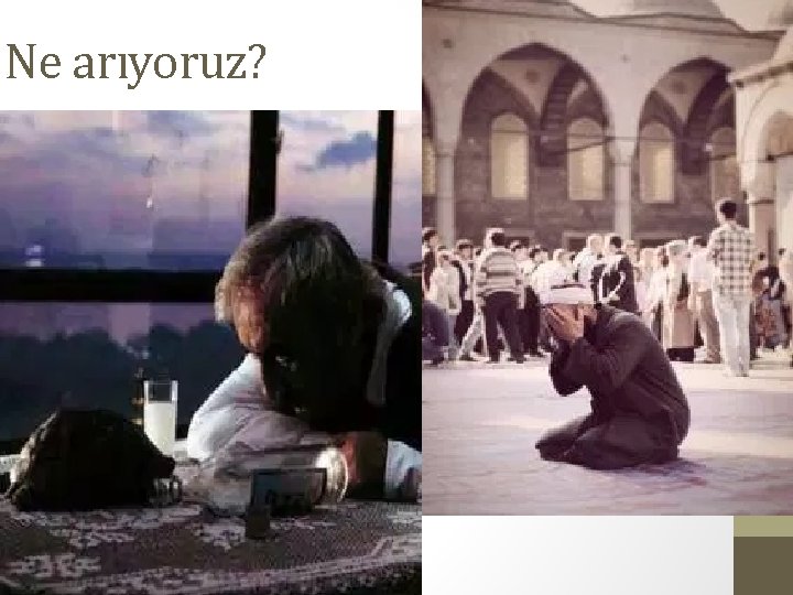 Ne arıyoruz? 