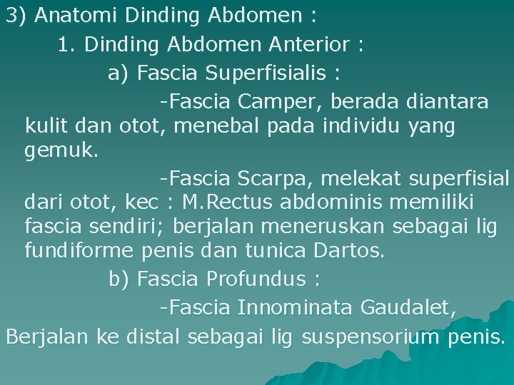 3) Anatomi Dinding Abdomen : 1. Dinding Abdomen Anterior : a) Fascia Superfisialis :