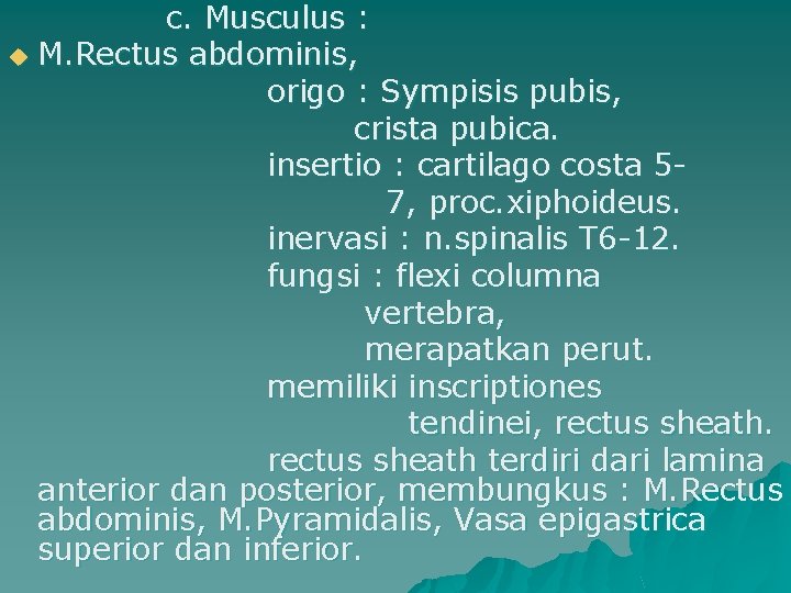 c. Musculus : u M. Rectus abdominis, origo : Sympisis pubis, crista pubica. insertio