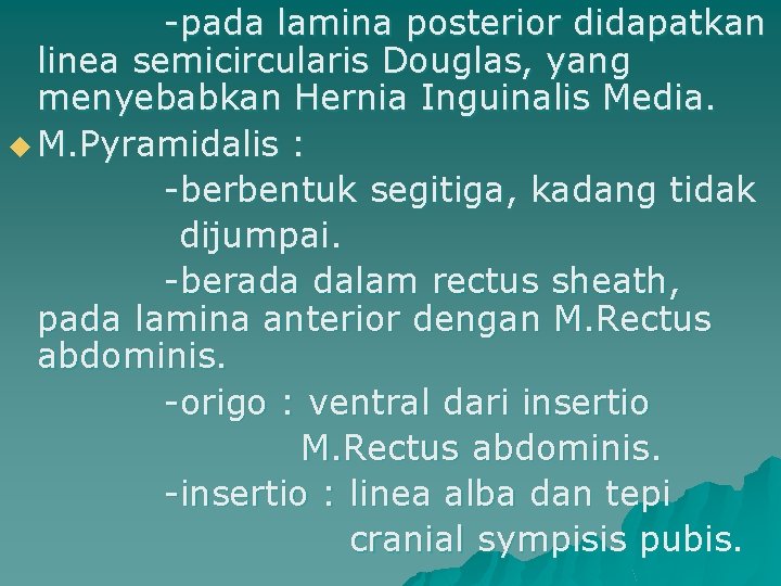 -pada lamina posterior didapatkan linea semicircularis Douglas, yang menyebabkan Hernia Inguinalis Media. u M.