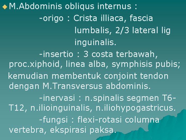 u M. Abdominis obliqus internus : -origo : Crista illiaca, fascia lumbalis, 2/3 lateral