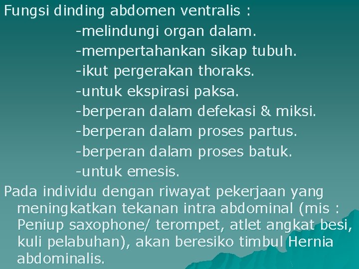 Fungsi dinding abdomen ventralis : -melindungi organ dalam. -mempertahankan sikap tubuh. -ikut pergerakan thoraks.