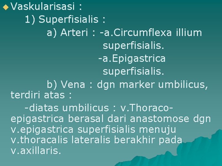 u Vaskularisasi : 1) Superfisialis : a) Arteri : -a. Circumflexa illium superfisialis. -a.